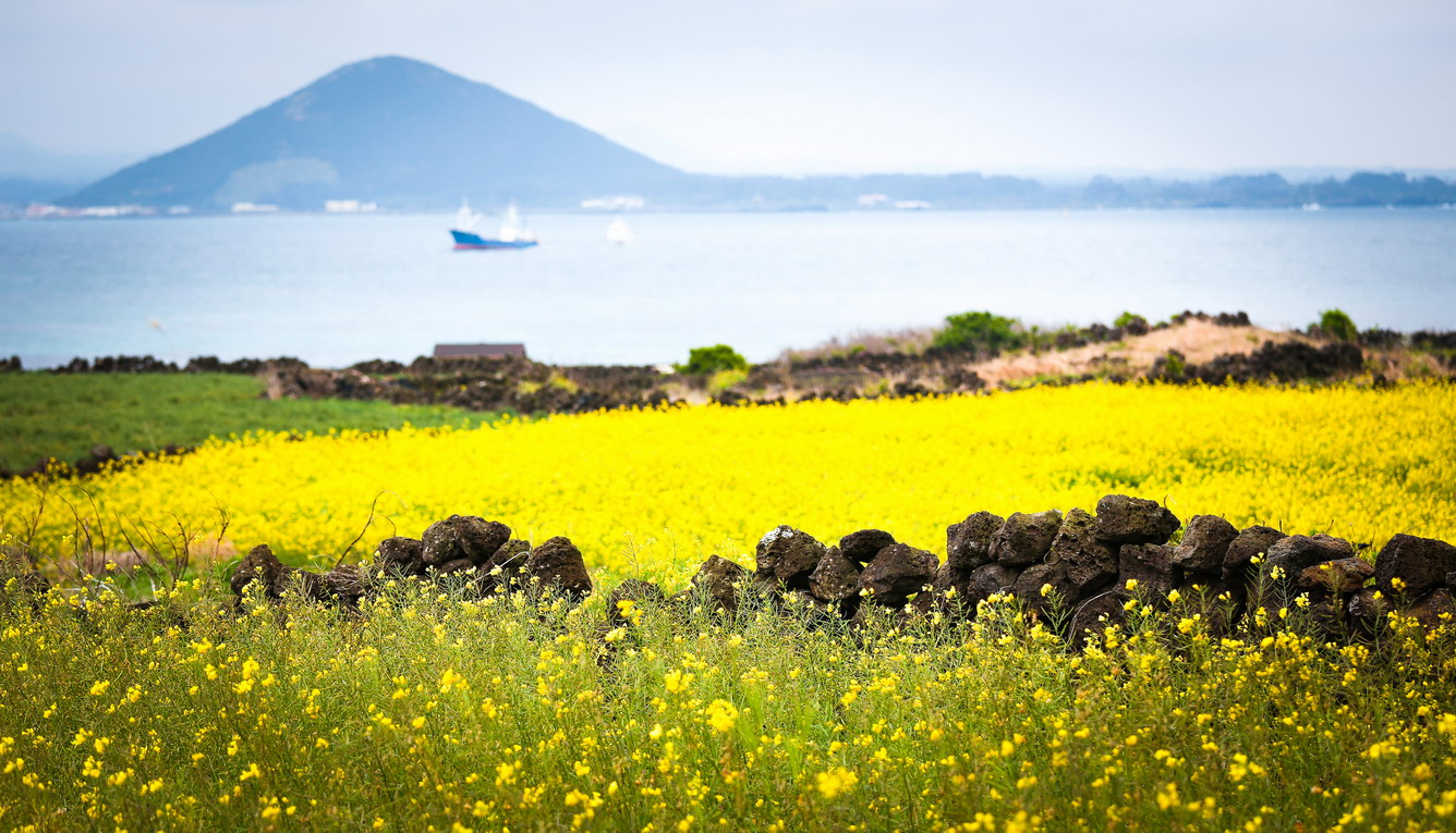 Vẻ đẹp tuyệt vời trên đảo Jeju 