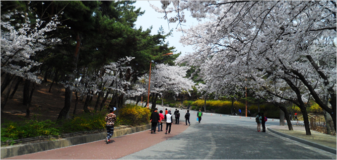 Công viên Daegu Duryu - Hàn Quốc