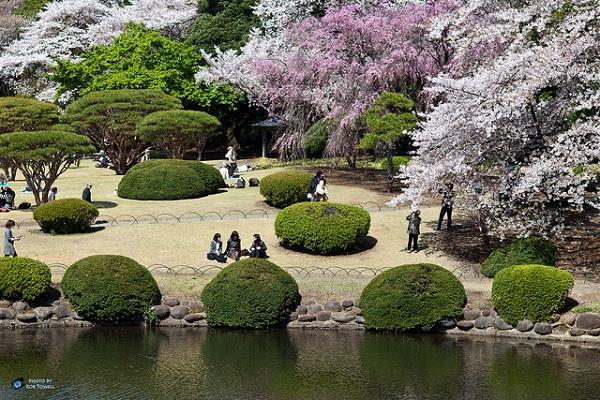 Vé máy bay Japan Airlines Hồ Chí Minh đi Tokyo